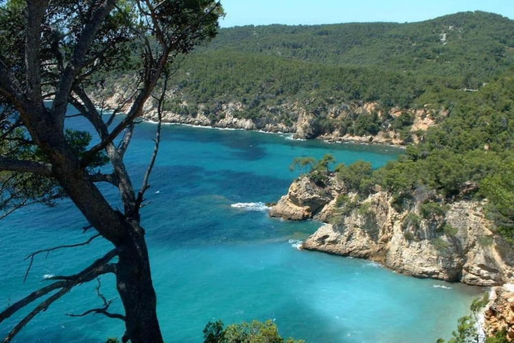 Tres Bel Appartement Climatise Terrasse Et Vue Mer Bandol Dış mekan fotoğraf